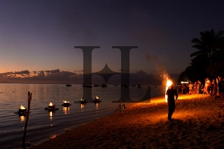 Ocean Firedancers